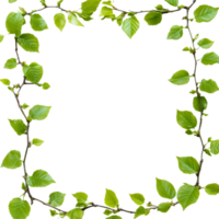 Fresh spring leaf border frame isolated on a bright transparent background for seasonal design purposes, spring leaf frame border isolated on transparent background png