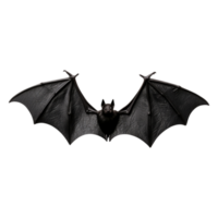 Black Bat with Open Wings Against a Transparent Background png