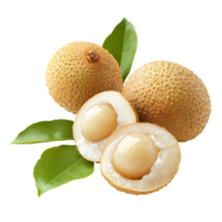 Fresh longan fruit with green leaves arranged on a transparent background displaying its natural beauty and texture, fresh longan with leaf on transparent background png