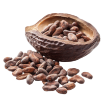 Fresh cocoa pod with cocoa beans isolated on a transparent background showcasing natural chocolate growth, Fresh cocoa isolated on transparent background png