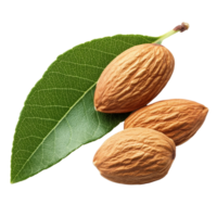 Fresh almonds with green leaf on a transparent background highlighting their natural features, almonds with leaf isolated on transparent background png