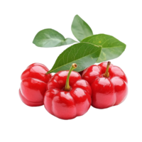 Fresh acerola cherries with green leaves on a clean transparent background ready for presentation, Acerola cherry on transparent background png