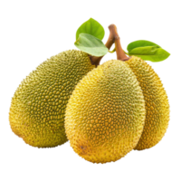 Ripe jackfruits with green skin and leaves isolated on a transparent background showcasing their unique texture and shape, ripe jack fruits isolated on transparent background png
