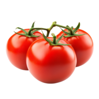 Fresh and ripe tomatoes grouped together on a clean transparent background showcasing their vibrant color and texture, Tomatoes isolated on transparent background png