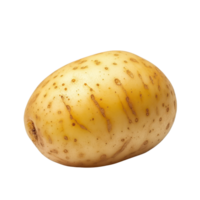 Freshly harvested potato isolated on transparent background highlighting its natural texture and earthy tones, Potato isolated on transparent background png