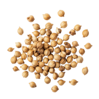 Coriander seeds scattered on a transparent surface, showcasing their unique texture and natural color for culinary and medicinal uses, Coriander seeds on transparent background png