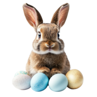 A cute bunny sits with colorful Easter eggs on a light background celebrating springtime festivities, funny bunny easter with eggs on transparent background png