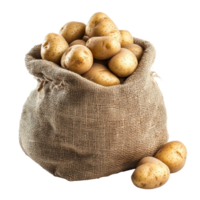 A burlap sack filled with fresh, unpeeled potatoes on a clean transparent background, Sack of potatoes isolated on transparent background png