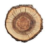 Crosscut tree log showcasing intricate striped texture and natural patterns on a bright transparent background, Crosscut of a tree log with striped texture on transparent backgroundfile png