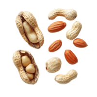A collection of peeled, unpeeled, and opened shell peanuts arranged artistically on a transparent surface, Group of peeled, unpeeled and opened shell peanuts png