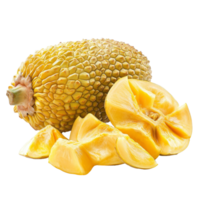 Ripe jackfruit showcasing its vibrant yellow flesh, isolated against a transparent background for detailed examination, Ripe Jackfruit isolated in transparent background png