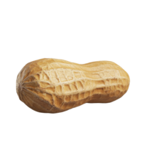 Isolated peanut with textured shell against a neutral background highlighting its natural shape and color, Peanut isolated png