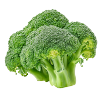 Fresh broccoli isolated against a transparent background highlighting its vibrant color and healthy attributes, Fresh Broccoli isolated on transparent background png