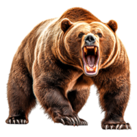 Powerful Roaring Bear with Sharp Claws in a Dramatic Pose png