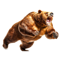 Powerful Grizzly Bear Roaring in Mid-Run on Isolated Background png