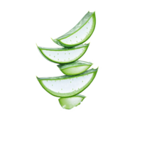 Aloe vera slices splashing into water creating a refreshing and vibrant scene, Aloe vera slices with water splash isolated png