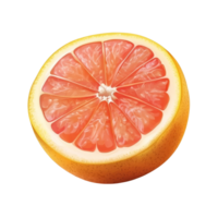 Freshly cut grapefruit showcasing vibrant pink segments on a clean transparent background for culinary inspirations, grapefruit citrus fruit on transparent background png