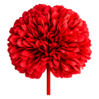 Bright Red Flower with Full Bloom Petals on a Simple Background png