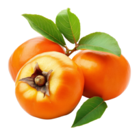 Fresh persimmons arranged with green leaves isolated on a transparent background for culinary presentation and decoration, Persimmons with isolated on transparent background png
