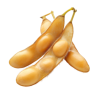 Closeup of fresh soybean pods isolated on transparent background showcasing their natural texture and color, Soybean isolated on transparent background, closeup png