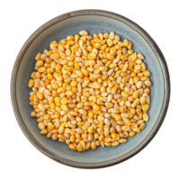 Corn seeds displayed in a bowl on a transparent background for agricultural use and cooking inspiration, corn seeds in a plate on transparent background png