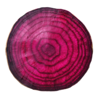 Sliced beetroot with colorful rings and natural patterns on a transparent background, slice beetroot on transparent background png