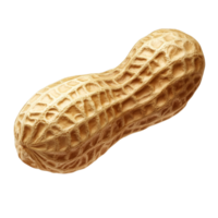 A single peanut on a transparent transparent background showcasing its textured shell and natural shape, peanut isolated on transparnt transparent background png
