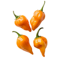 Fresh orange peppers arranged on a clean transparent background, showcasing their vibrant color and unique shape, orange pepperscapsicum on transparent background png