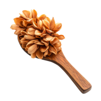 Broussonetia kurzii flowers beautifully arranged on a wooden spoon against a transparent background in a minimalist style, Flower of Sa lae or Broussonetia kurzii Corner on transparent background png