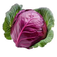 Vibrant red cabbage with fresh green leaves isolated on a pristine transparent background for culinary presentations, Red cabbage with leaf isolated on transparent background png
