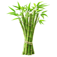 A vibrant bunch of bamboo with lush green leaves isolated on transparent background, bamboo bunch with green leaves, file of isolated object on transparent background png