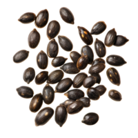 Isolated watermelon seeds scattered on a clean transparent background, highlighting their unique shape and texture, Watermelon seeds isolated on transparent background png