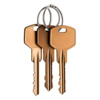Three Metallic Keys on a Keyring Isolated on png