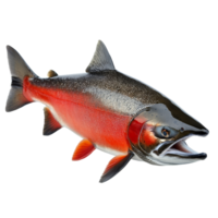 Pacific salmon fish isolated on a transparent background showcasing vibrant colors and features, a pacific salmon fish isolated on transparent background png