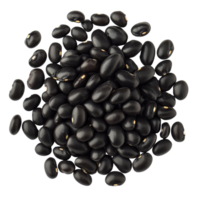 Closeup view of organic green kernel black bean isolate showcasing its rich color and texture under natural light, Close up of organic green kernel black bean png