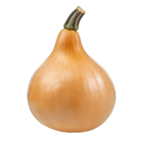 Butternut squash isolated on a transparent background showcasing its smooth texture and vibrant color, butternut squash isolated on transparent background png