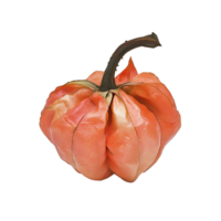 A fresh rose apple with a unique shape and vibrant color displayed on a clean transparent background, rose apple on transparent background png