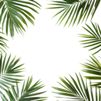 Tropical palm leaves arranged in a circular frame on a clean transparent background for a fresh, natural look, tropical nature green palm leaf in picture frame on transparent backgroundfile png