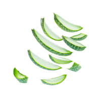 Aloe vera slices suspended in midair creating a refreshing and natural aesthetic, Flying aloe vera slices png