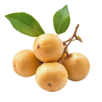 Fresh longan fruit with green leaves isolated on a transparent background highlighting its natural beauty and texture, fresh longan isolated on transparent background png
