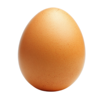 A singular brown egg rests on a clean transparent surface highlighting its smooth texture and natural color, Egg on transparent background png