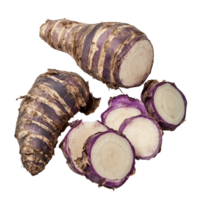 Taro root and sliced pieces displayed on a transparent background showcasing their unique purple and transparent interior, taro root on transparent background png