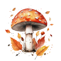 A vibrant watercolor rendering of a mushroom surrounded by autumn leaves against a clean transparent backdrop, mushroom with autumn leaves transparent background png