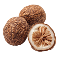 Dry nutmeg on a transparent background showcasing the distinctive textures and colors of this aromatic spice, Dry nutmeg isolated on transparent background png