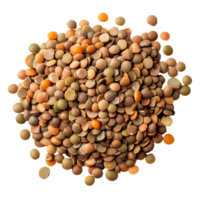 A variety of lentils isolated on a clean transparent background showcasing their distinct colors and shapes, Lentils isolated on transparent background png