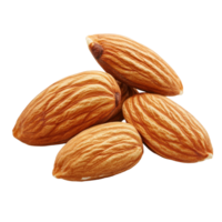 Almonds resting separately on a clean transparent background for a fresh and natural look, Almonds isolated on transparent background png
