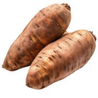 Fresh yams displayed on an isolated transparent background, showcasing their unique shape and earthy tones, yams potato on isolated transparent background png