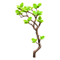 Small Branch with Fresh Green Leaves Isolated on png