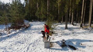 Person in Red Jacket with Dog in Snowy Pine Forest video