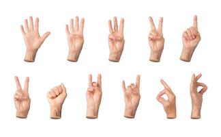Set of elderly female hands displaying various gestures, including counting from one to five, thumbs photo